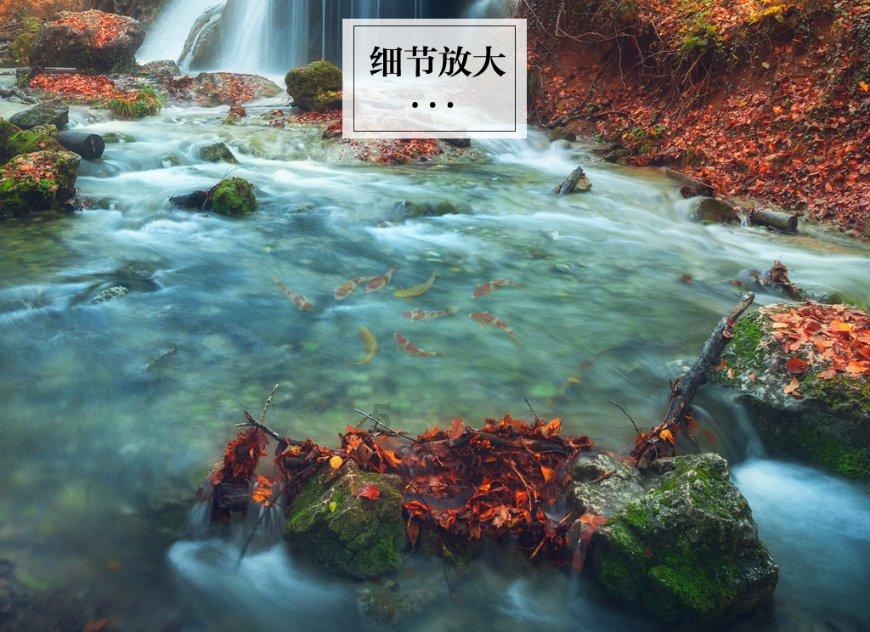 玄武门之变时，为什么没有救驾军队来保护太子李建成？游戏画面