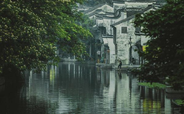 救援小橘猫